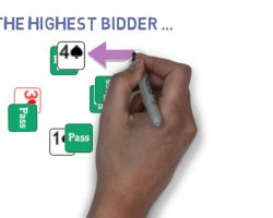 The Game of Bridge